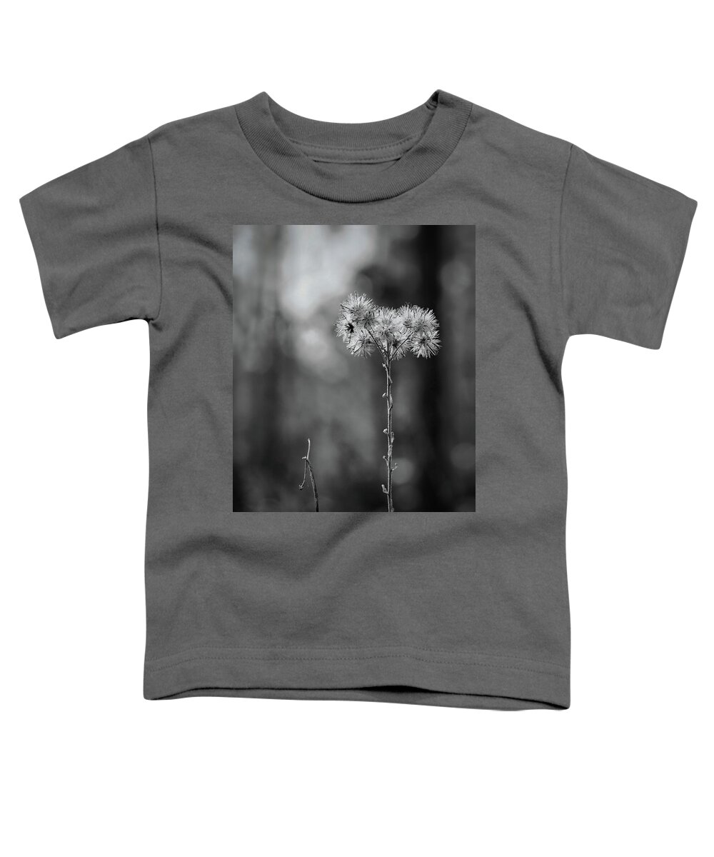 Monochrome Toddler T-Shirt featuring the photograph Looking Up by Randall Allen