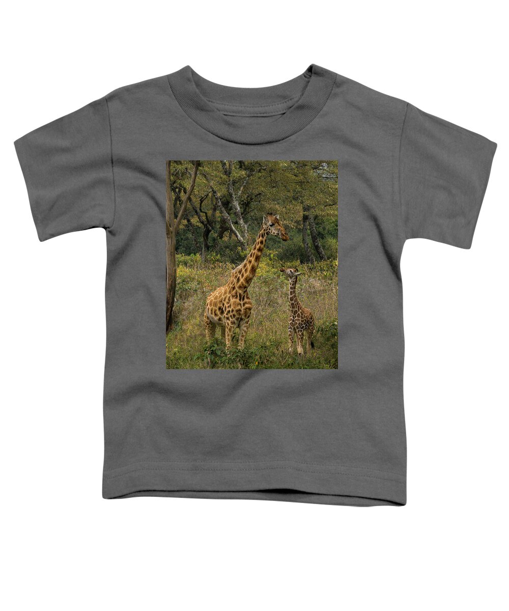 Africa Toddler T-Shirt featuring the photograph Looking Up to Mom by Laura Hedien