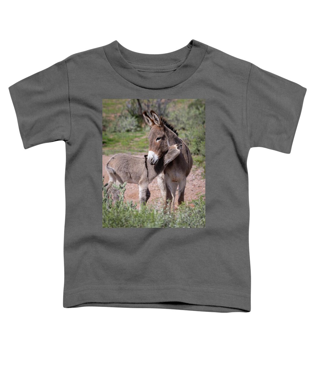 Wild Burro Toddler T-Shirt featuring the photograph Love you mom by Mary Hone