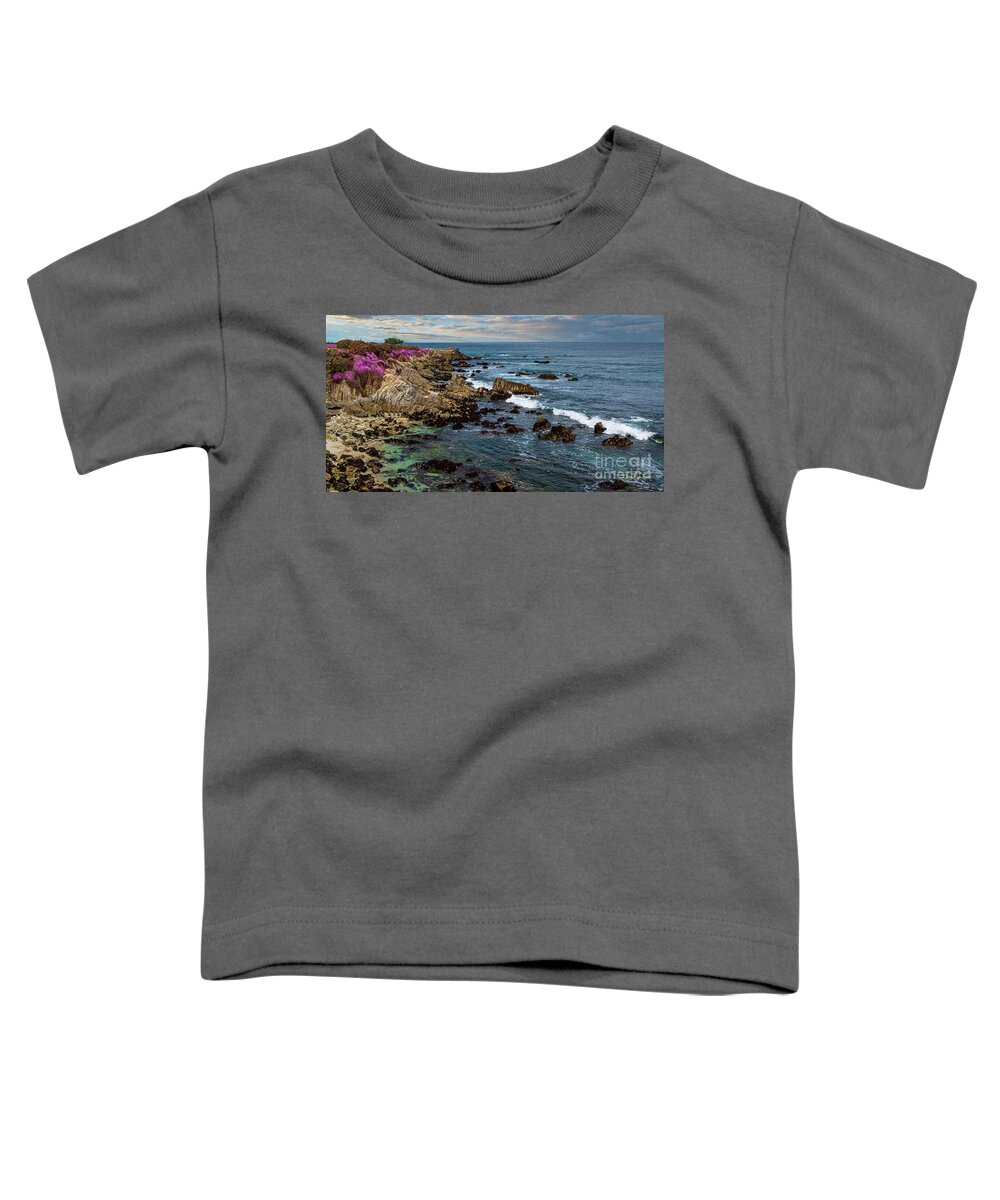 Beach Toddler T-Shirt featuring the photograph Lover's Point Rocky Coast by David Levin