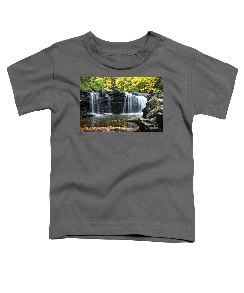 Potter's Falls Toddler T-Shirt featuring the photograph Lower Potter's Falls 24 by Phil Perkins