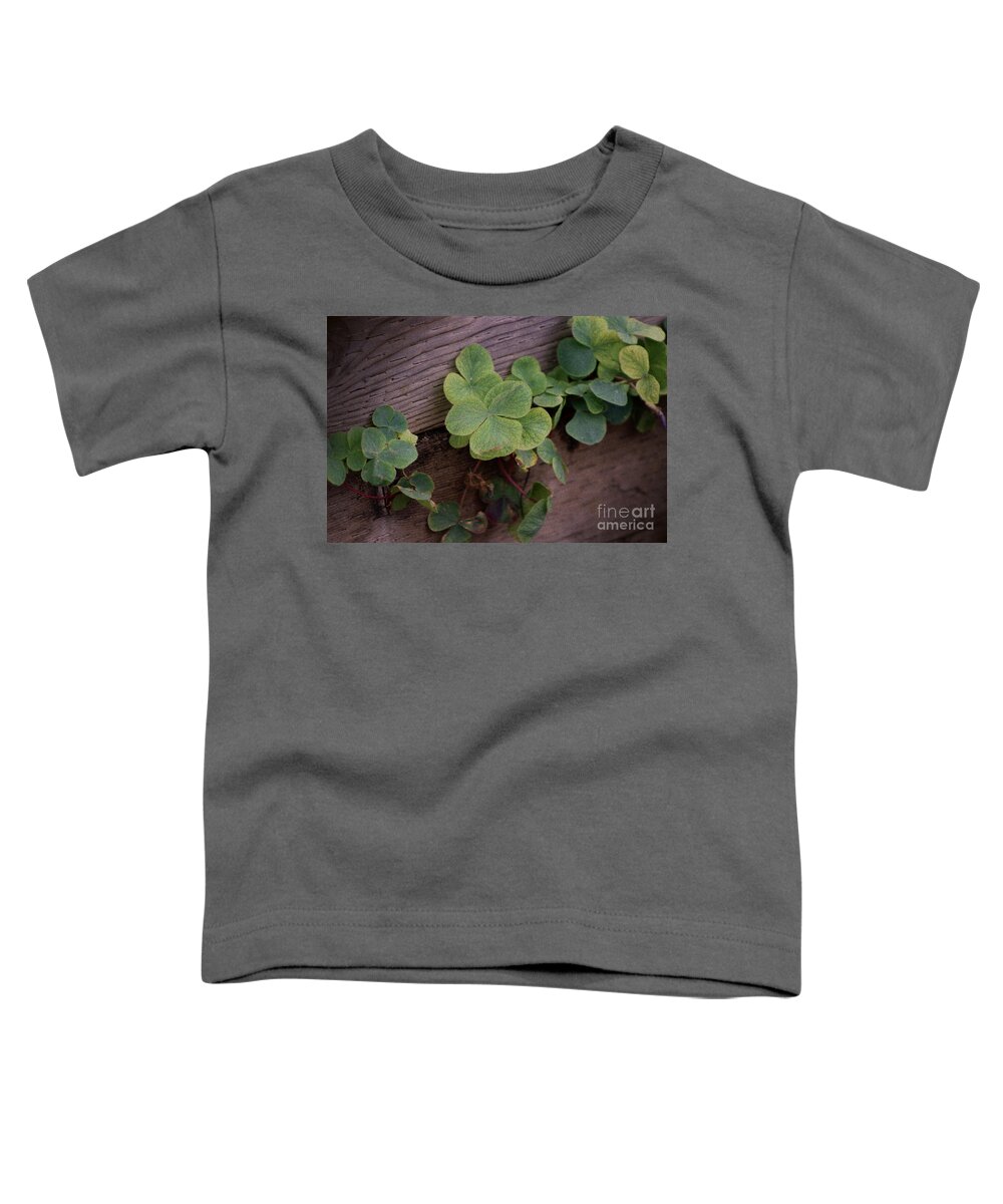 Shamrock Toddler T-Shirt featuring the photograph Lucky or Determined Saint Patricks Day Shamrocks by Colleen Cornelius