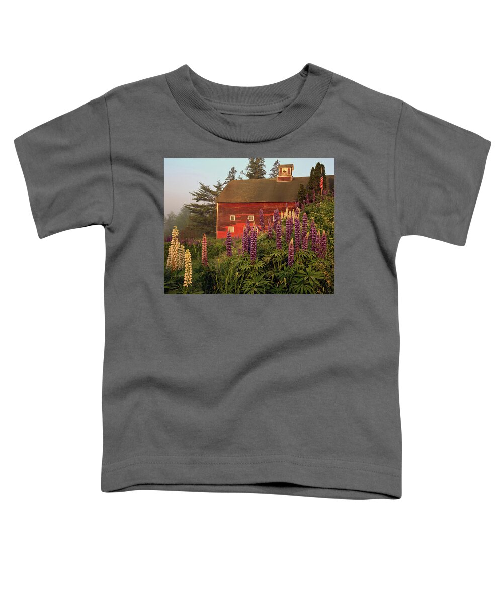 Lupine Festivle Toddler T-Shirt featuring the photograph Lupine Barn in Sugar Hill, NH by John Rowe