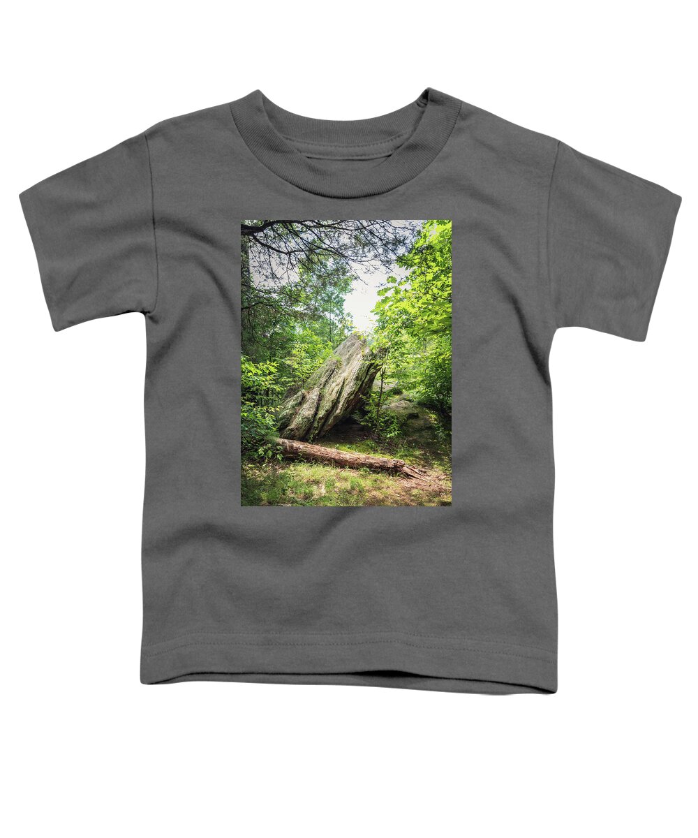 Landscape Toddler T-Shirt featuring the photograph Lusk Creek Boulder by Grant Twiss