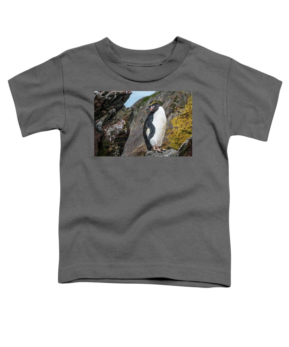 Penguin Toddler T-Shirt featuring the photograph Macaroni Penguin Pose by Linda Villers
