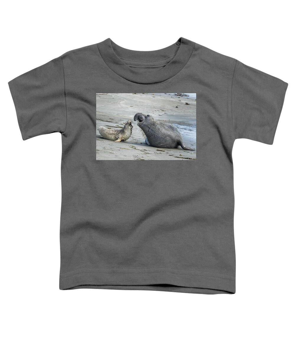 Elephant Seal Toddler T-Shirt featuring the photograph Male and Female Elephant Seal by Belinda Greb