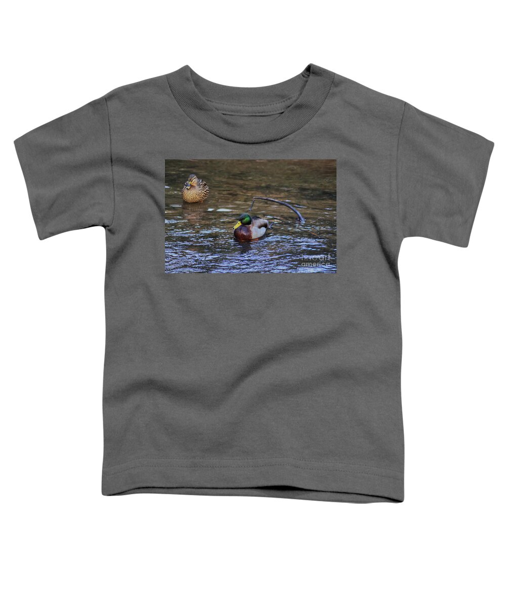 Mallard Duck Toddler T-Shirt featuring the photograph Male and female Mallard duck by Pics By Tony