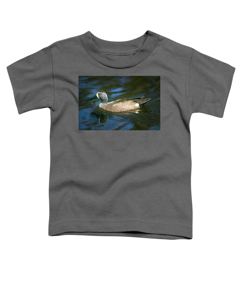 Blue Winged Teal Toddler T-Shirt featuring the photograph Male Blue Winged Teal by Mark Andrew Thomas