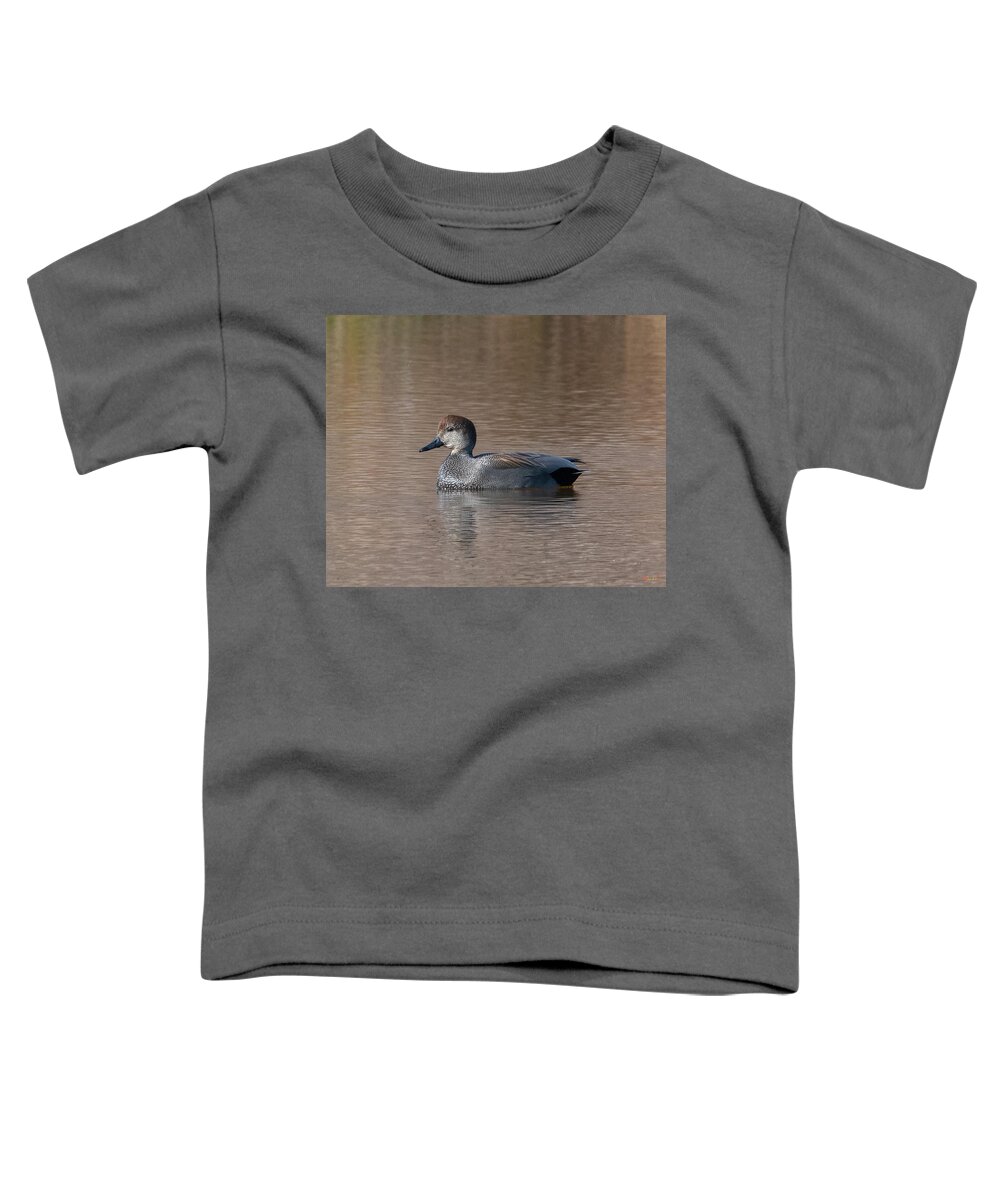 Nature Toddler T-Shirt featuring the photograph Male Common Gadwall DWF0225 by Gerry Gantt