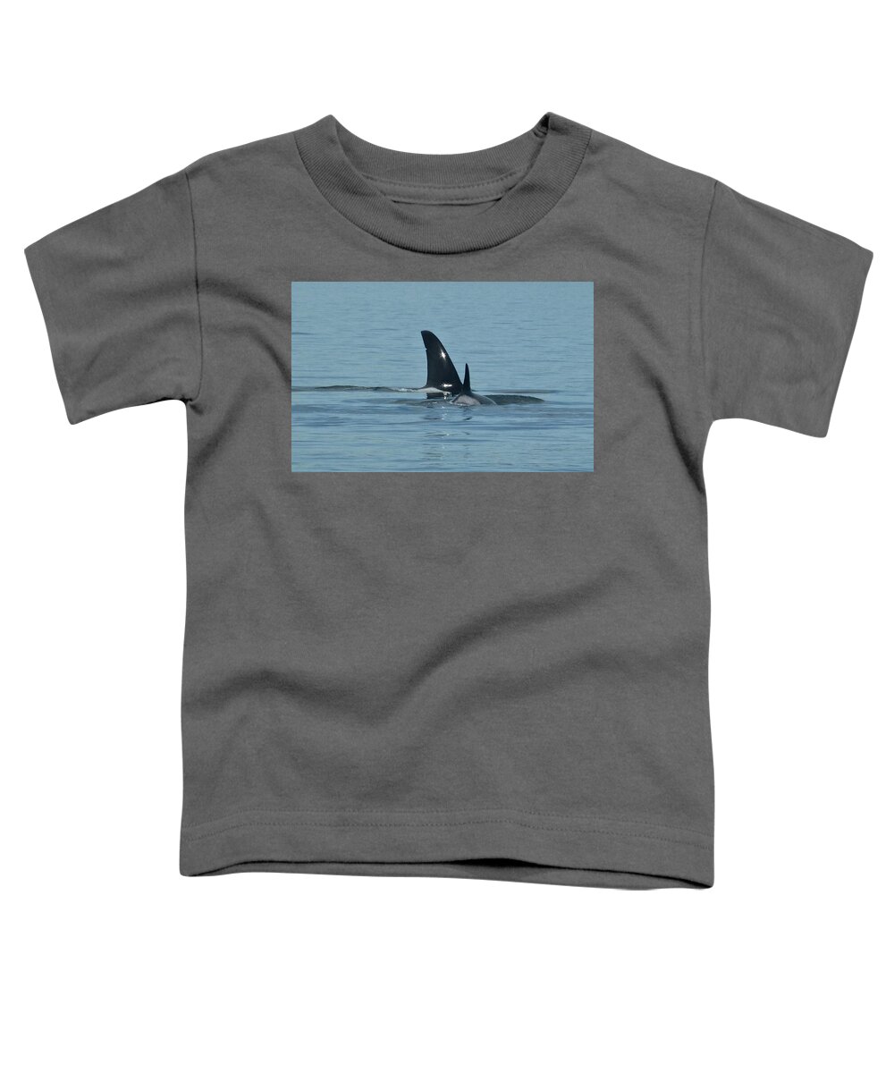 Orca Whales Toddler T-Shirt featuring the photograph Male Orca and Calf by Amelia Racca