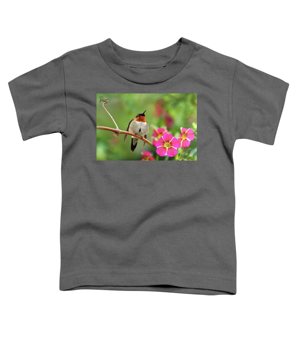 Hummingbird Toddler T-Shirt featuring the photograph Male Ruby Throated Hummingbird by Christina Rollo