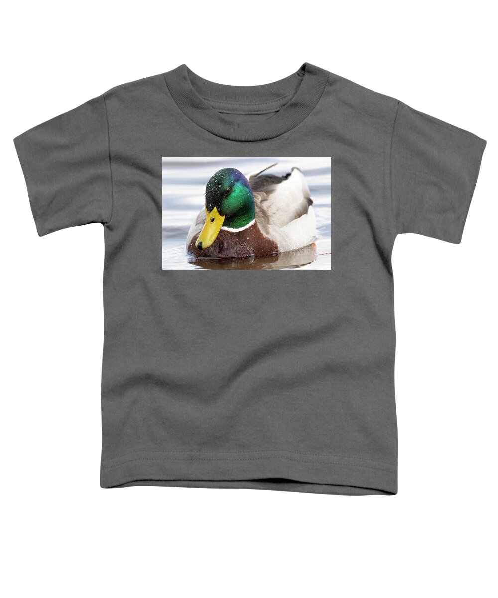 Duck Toddler T-Shirt featuring the photograph Mallard Duck on the Neuse River of Eastern North Carolina by Bob Decker
