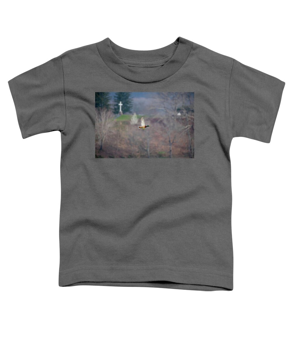 Blue Ridge Parkway Toddler T-Shirt featuring the photograph Mallard in Front of the Cross by Robert J Wagner