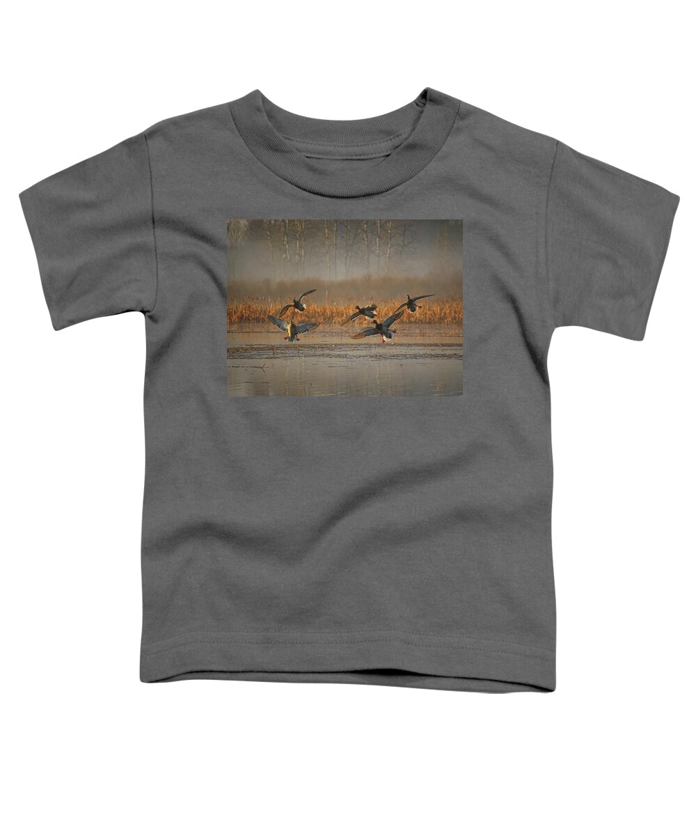 Waterfowl Toddler T-Shirt featuring the photograph Mallards With Feet Dangling by Dale Kauzlaric