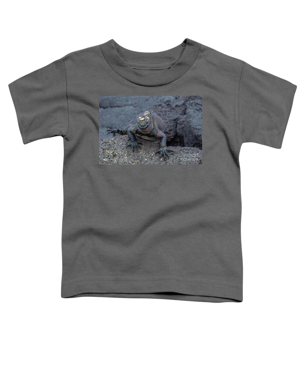 Amblyrhynchus Cristatus Toddler T-Shirt featuring the photograph Marine Iguana Coming for You by Nancy Gleason