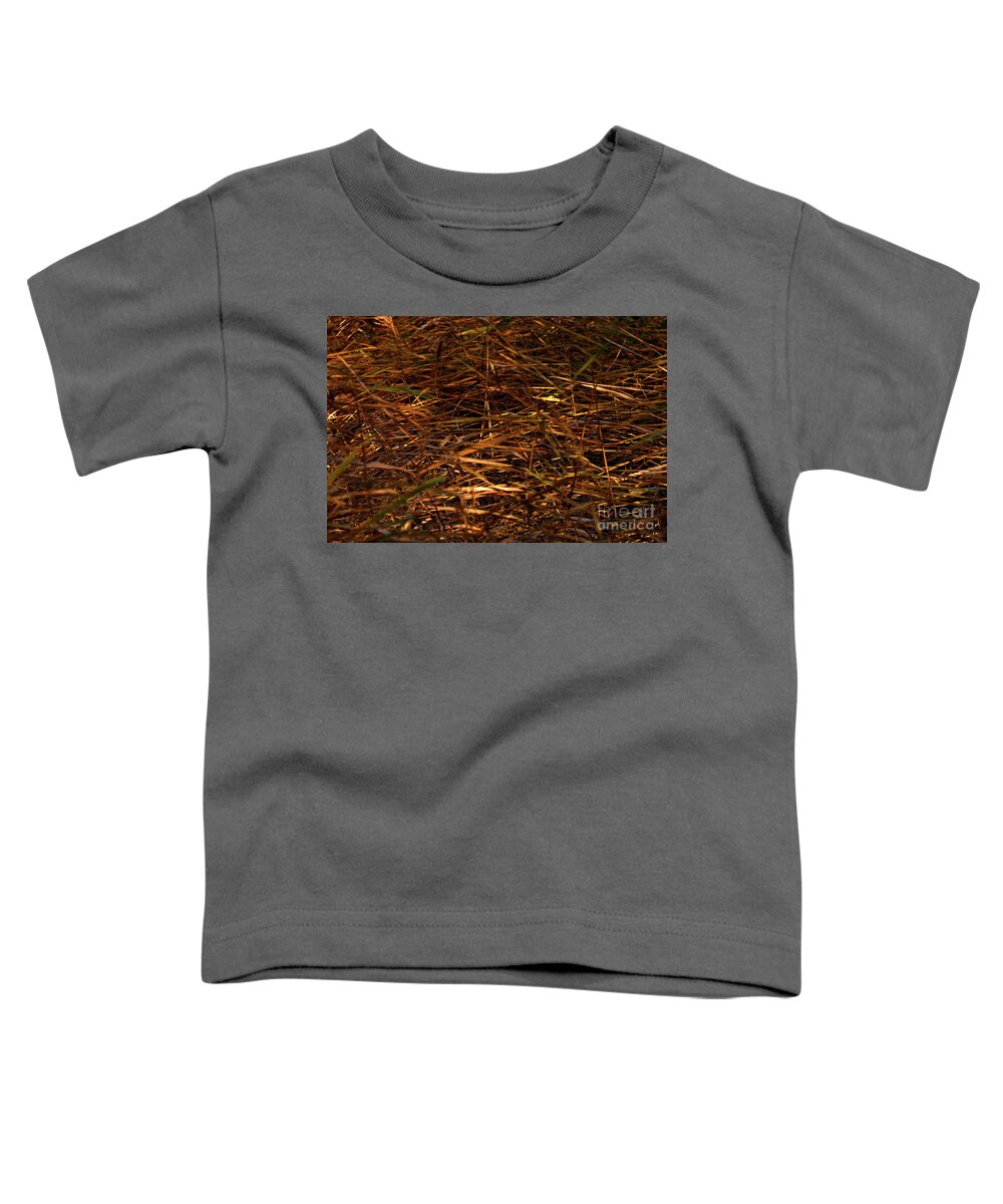 Abstract Toddler T-Shirt featuring the photograph Marsh Grasses in the breeze by Stephen Melia