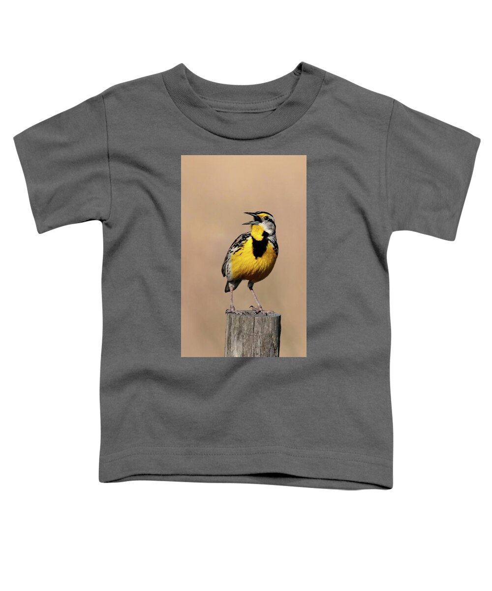 Meadowlark Toddler T-Shirt featuring the photograph Meadowlark Trilogy 3 by HH Photography of Florida