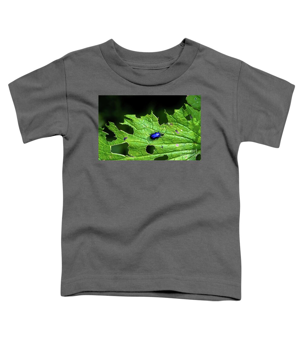 Agriculture Toddler T-Shirt featuring the photograph Metallic Blue Leaf Beetle On Green Leaf With Holes by Andreas Berthold