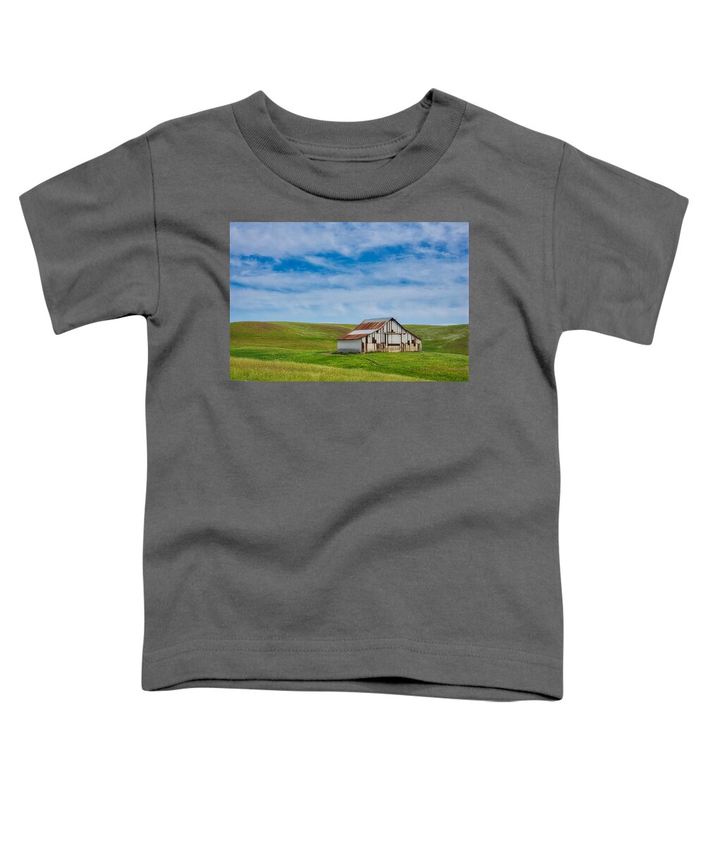 Barn Toddler T-Shirt featuring the photograph Michigan Bar Barn by Steph Gabler