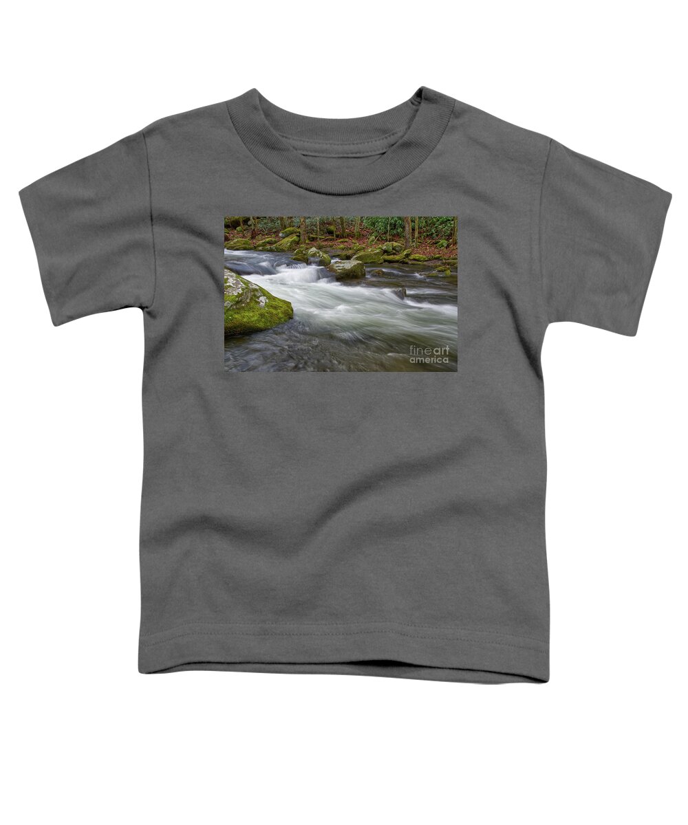 Middle Prong Trail Toddler T-Shirt featuring the photograph Middle Prong Little River 15 by Phil Perkins
