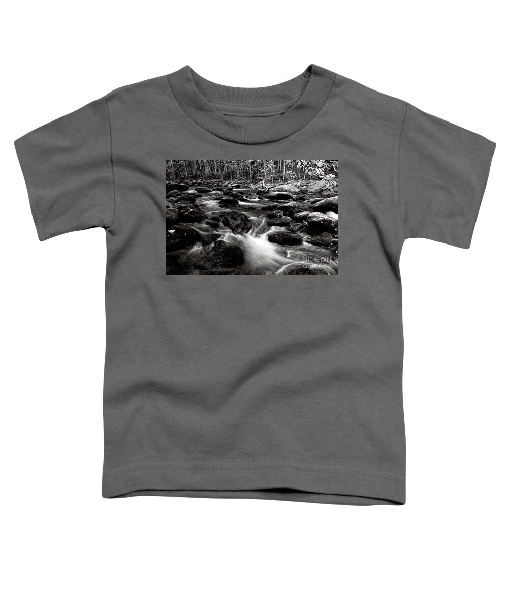 Middle Prong Little River Toddler T-Shirt featuring the photograph Middle Prong Little River 41 by Phil Perkins