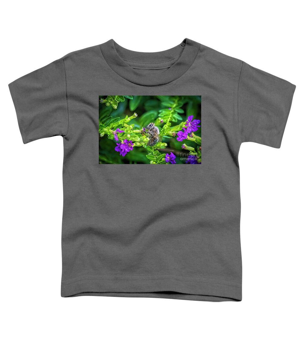 Bees Toddler T-Shirt featuring the photograph Mining Bee In Mexican Heather by DB Hayes