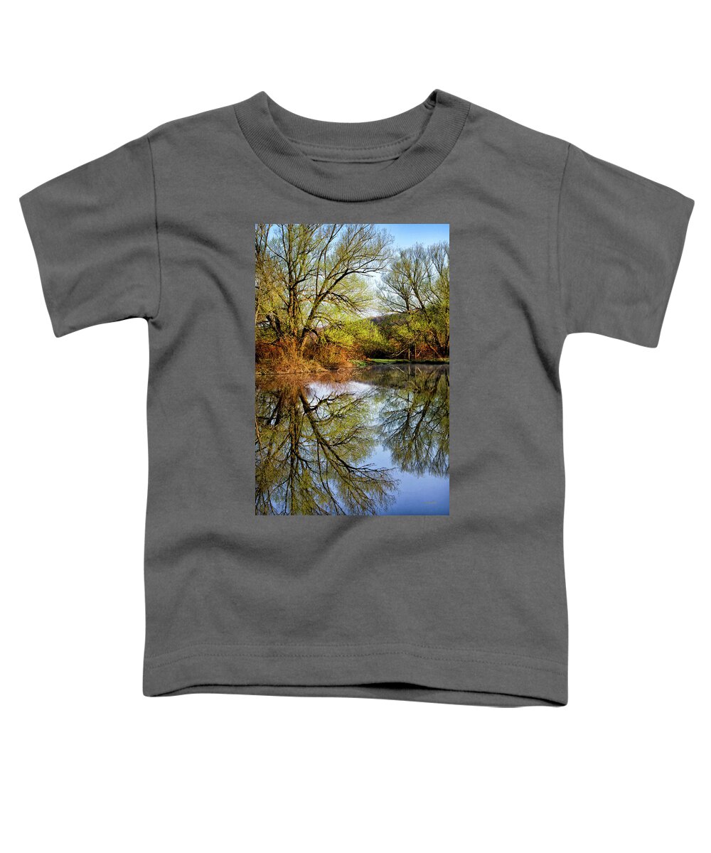 Reflection Toddler T-Shirt featuring the photograph Mirror Reflection by Christina Rollo
