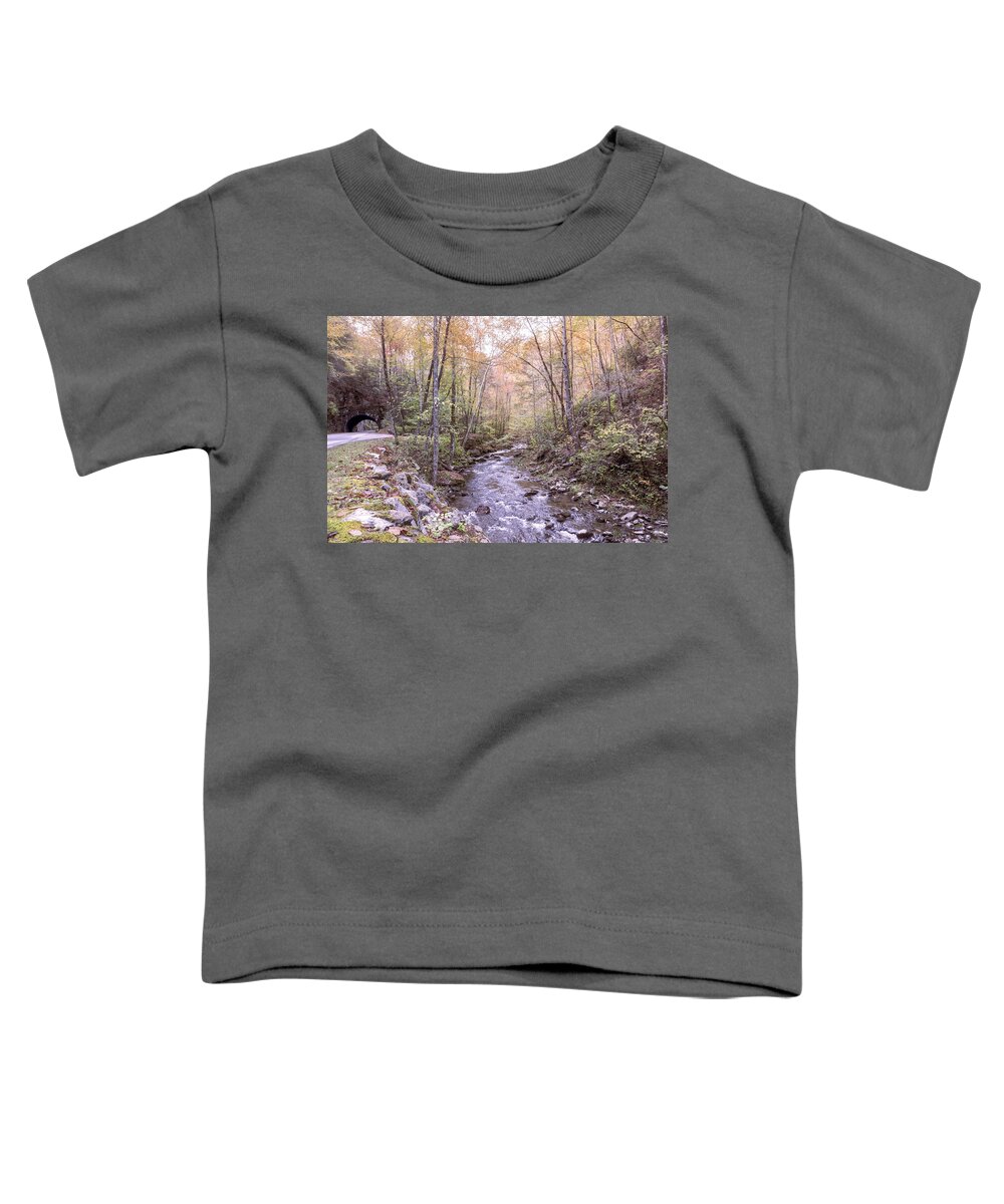 Cades Toddler T-Shirt featuring the photograph Misty Morning Smoky Mountains Country Streams by Debra and Dave Vanderlaan