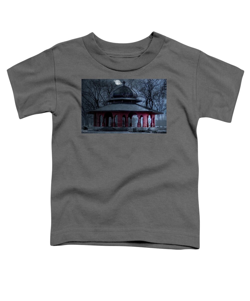 Pettibone Night Moon Park Toddler T-Shirt featuring the photograph Moon Over Pettibone by Phil S Addis