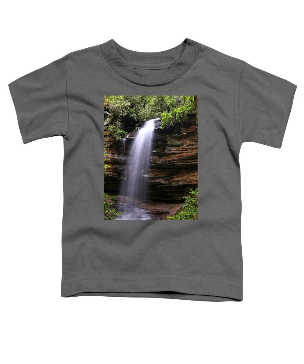 Moore Cove Waterfall North Carolina Toddler T-Shirt featuring the photograph Moore Cove Waterfall North Carolina by Carol Montoya