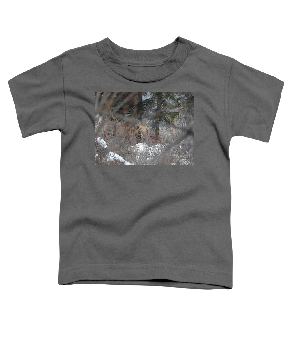 Canadian Moose Toddler T-Shirt featuring the photograph Moose in the Willows by Nicola Finch