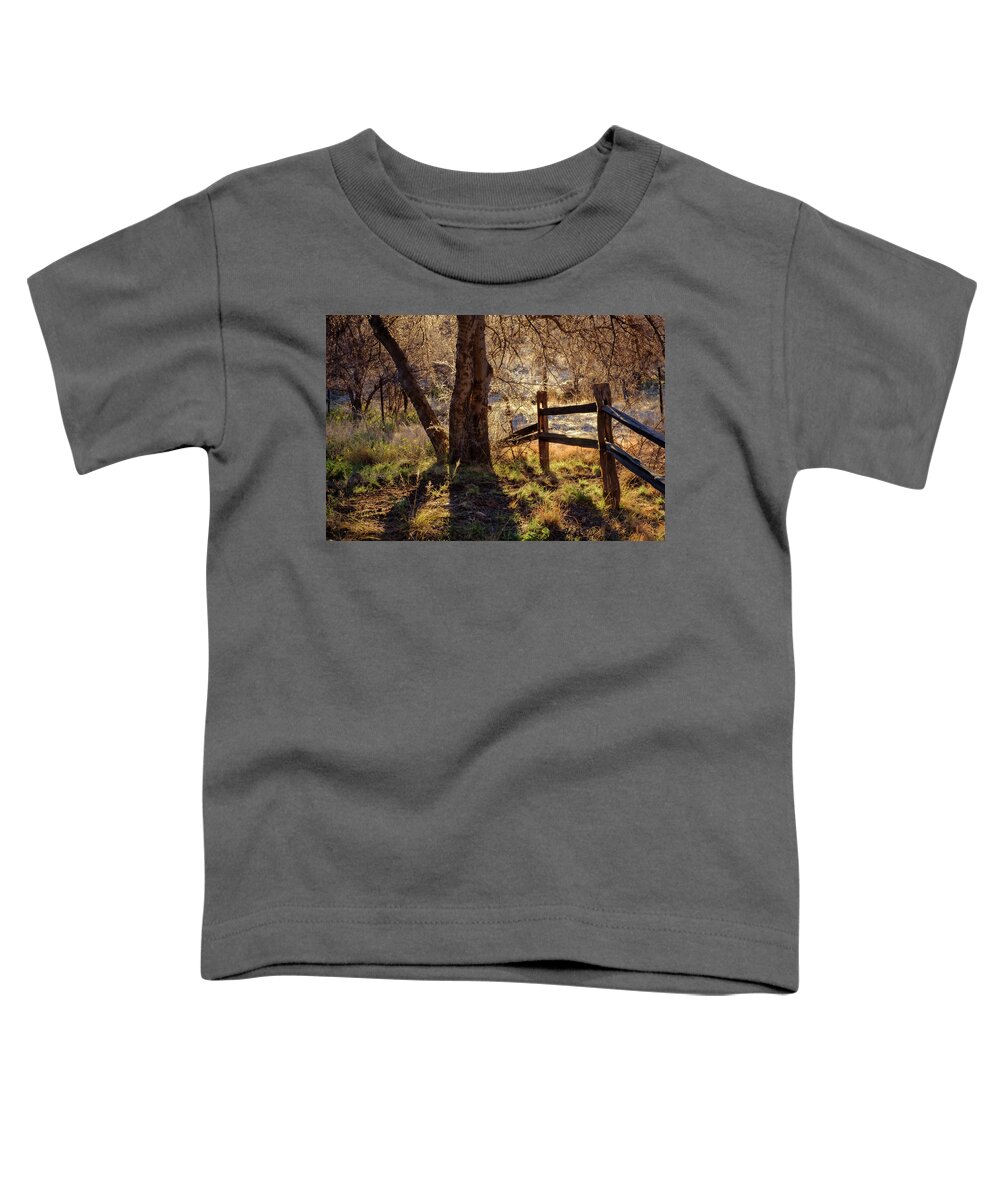 Morning Toddler T-Shirt featuring the photograph Morning at Half Moon Ranch Dragoon Mountains by Mary Lee Dereske