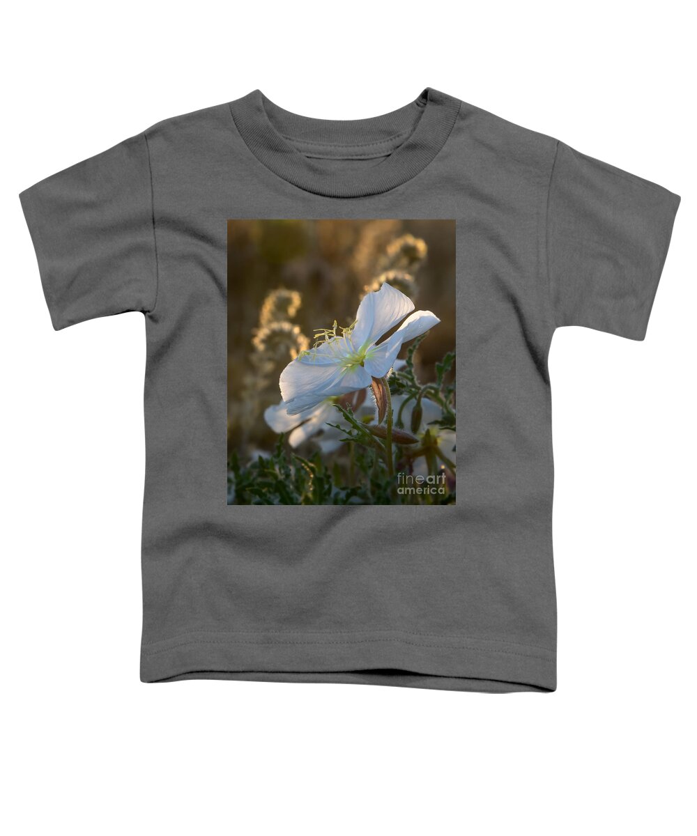 Flower Toddler T-Shirt featuring the photograph Morning Desert Primrose by Lisa Manifold