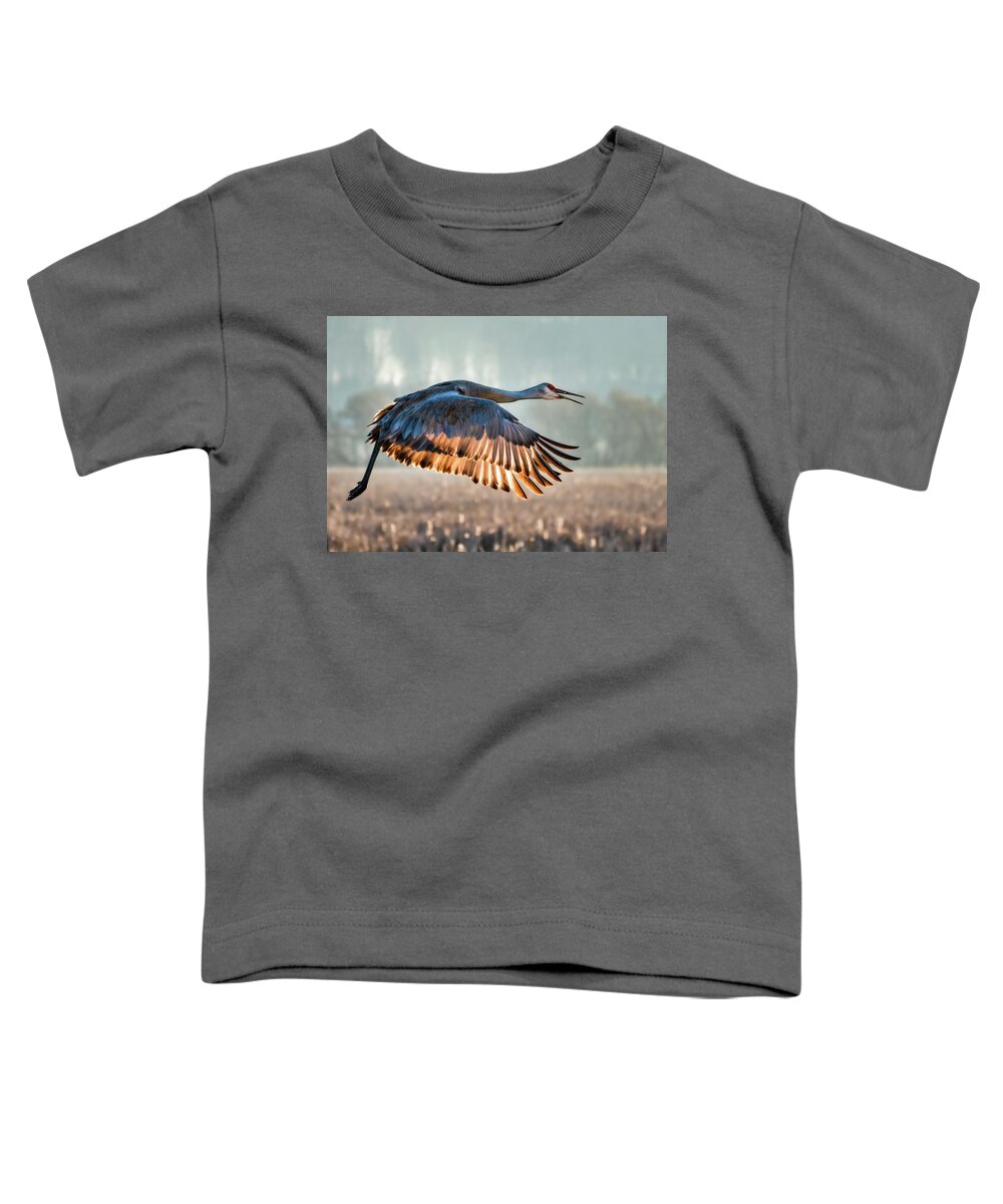 Crane Toddler T-Shirt featuring the photograph Morning Flight by Brad Bellisle