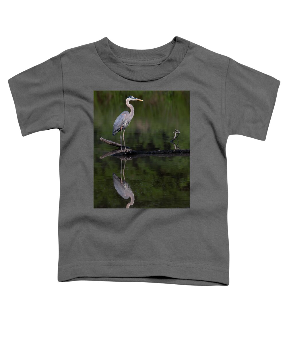 Bird Toddler T-Shirt featuring the photograph Morning Profiles by Art Cole