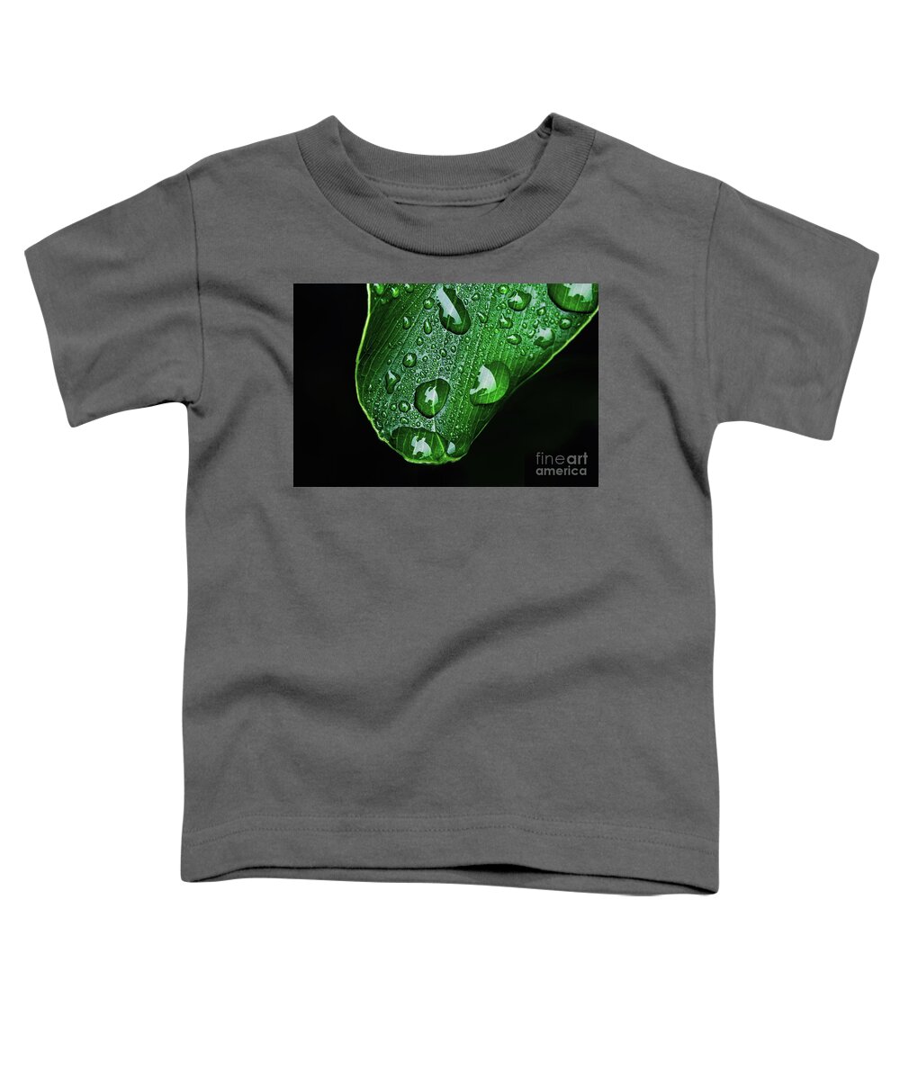 Water Toddler T-Shirt featuring the photograph Morning Rain by Scott Pellegrin