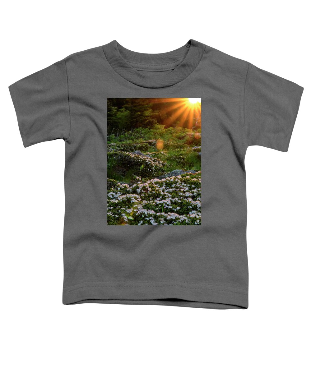 Blue Ridge Mountains Toddler T-Shirt featuring the photograph Morning Rays by Melissa Southern