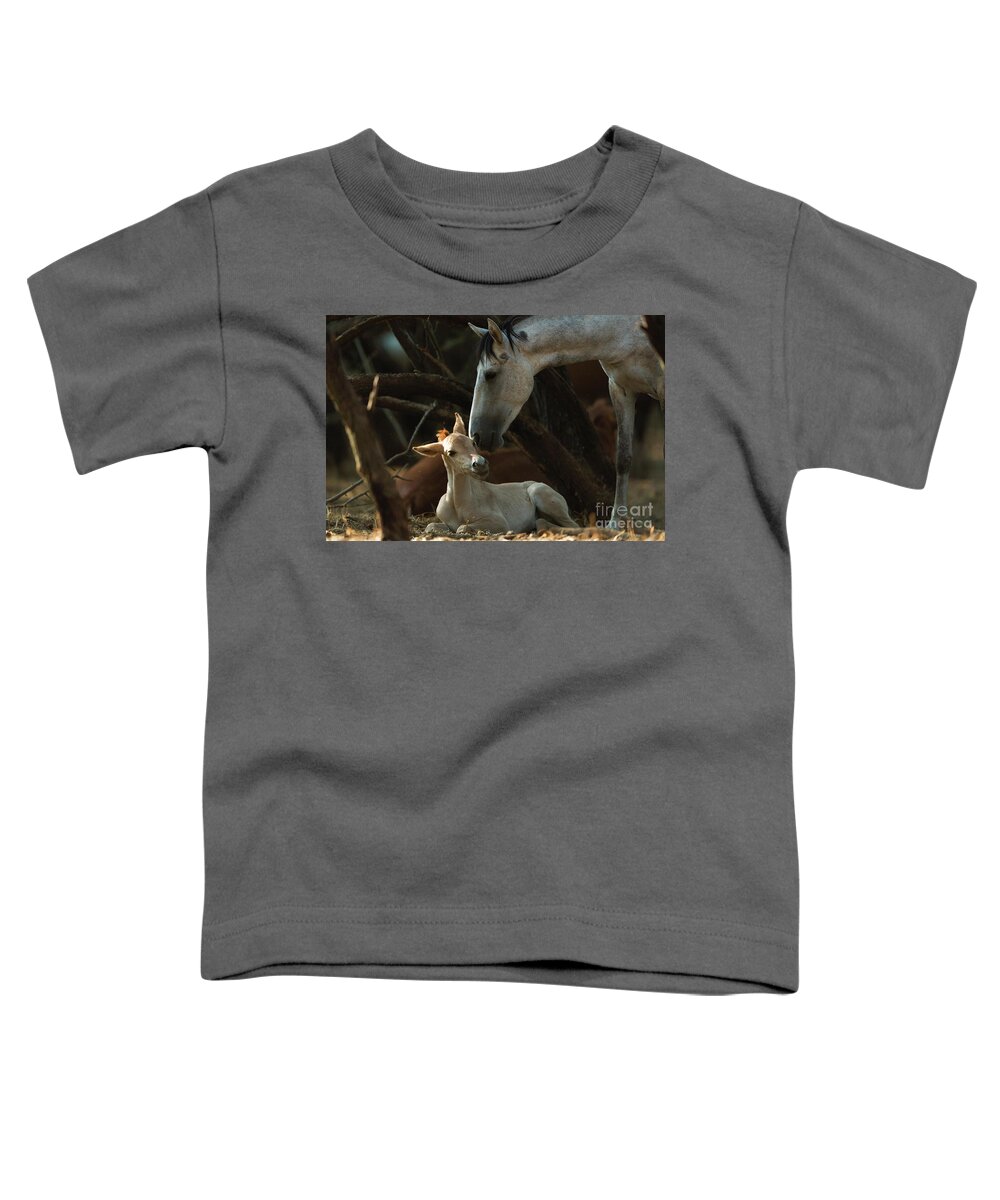 Cute Foal Toddler T-Shirt featuring the photograph Mother's Love by Shannon Hastings
