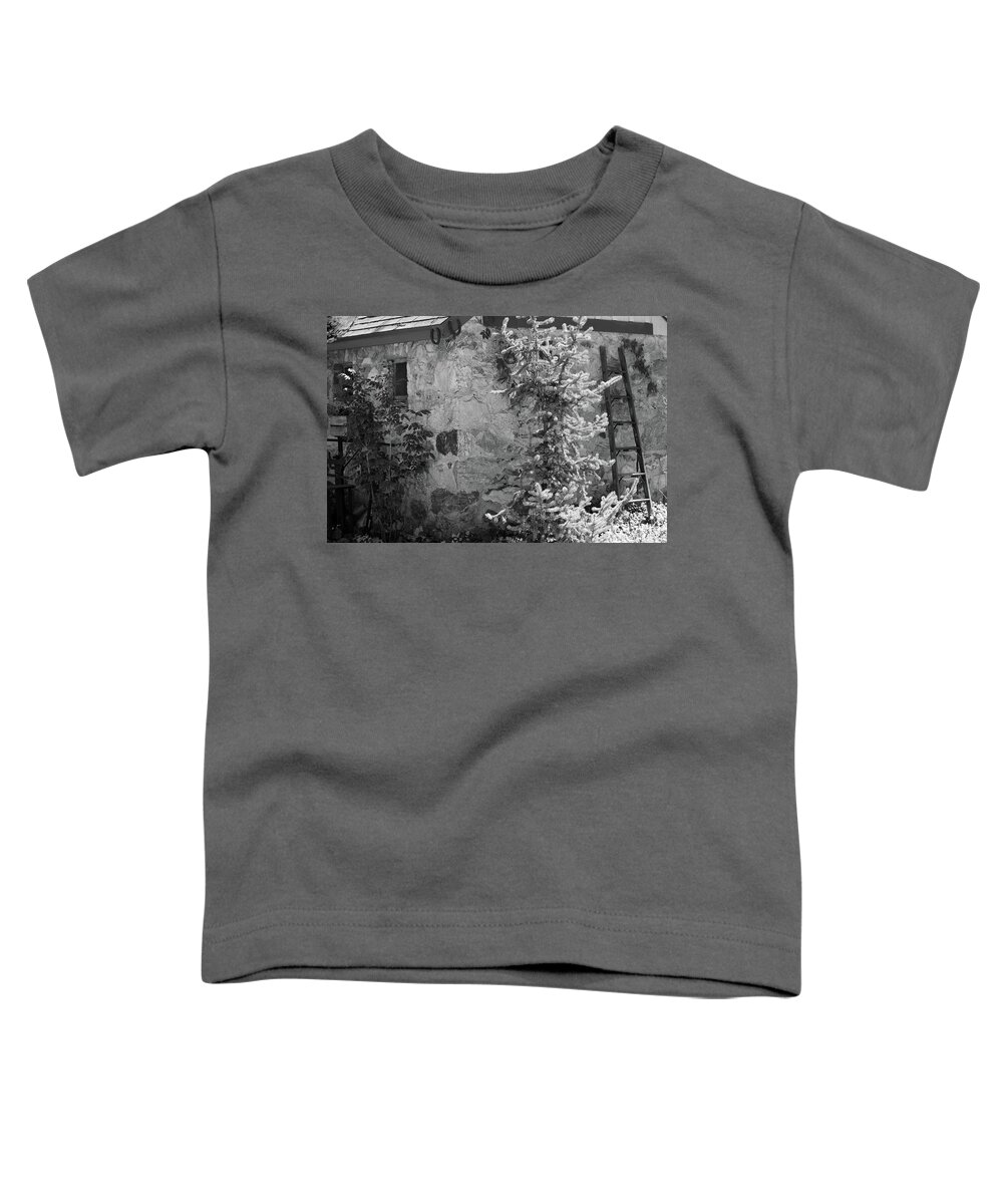 Architecture Toddler T-Shirt featuring the photograph Mountain Cabin by Tony Spencer