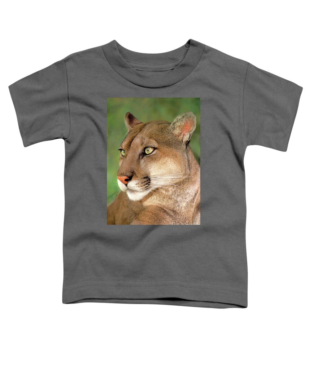 Mountain Lion Toddler T-Shirt featuring the photograph Mountain Lion Portrait Wildlife Rescue by Dave Welling