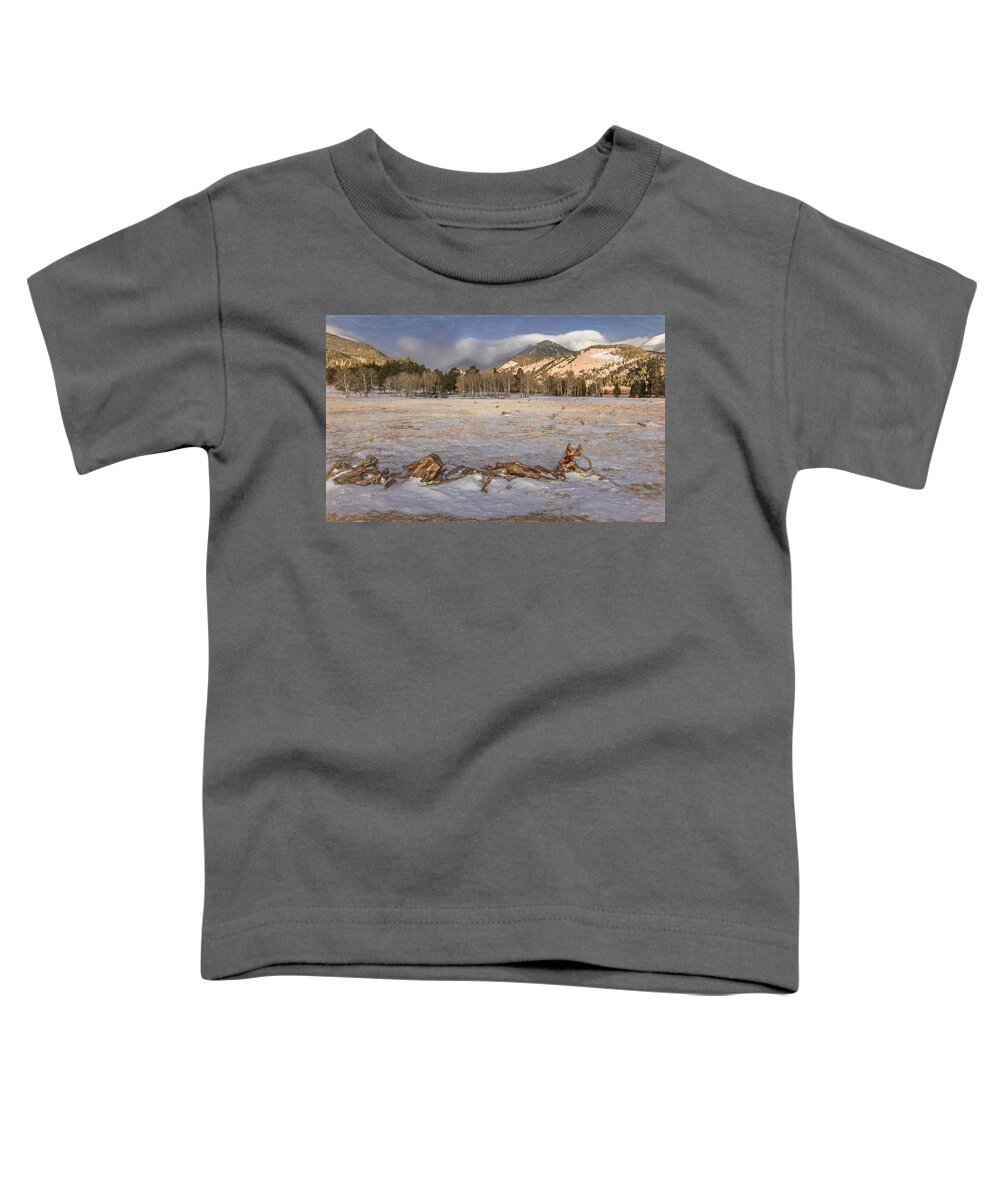 Colorado Toddler T-Shirt featuring the photograph Mountain Meadow on a Cold, Winter Morning by Marcy Wielfaert