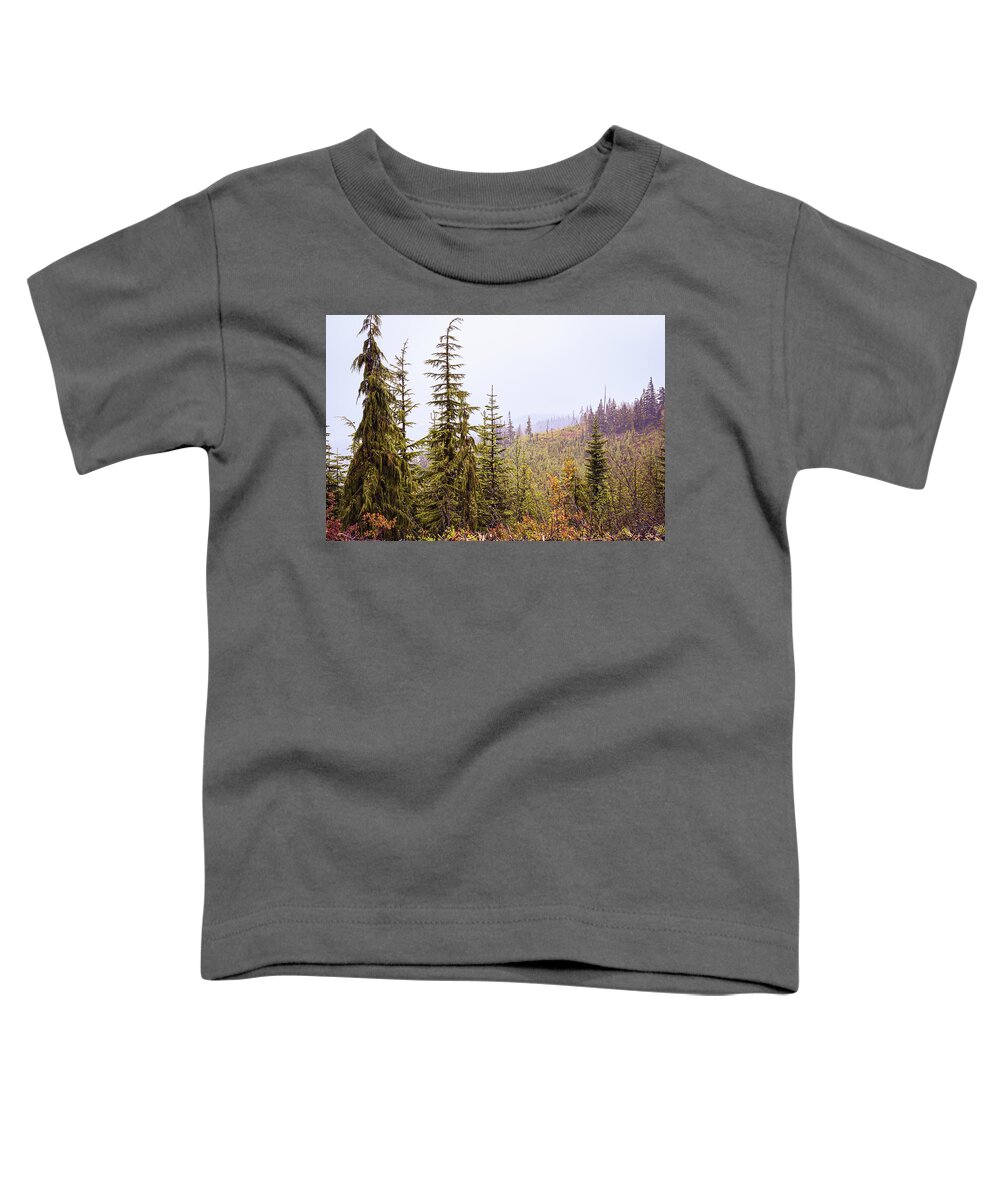Landscapes Toddler T-Shirt featuring the photograph Mountain Mist by Claude Dalley