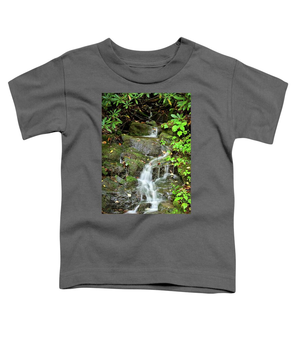 Nature Toddler T-Shirt featuring the photograph Mountain Trickle by Ed Stokes
