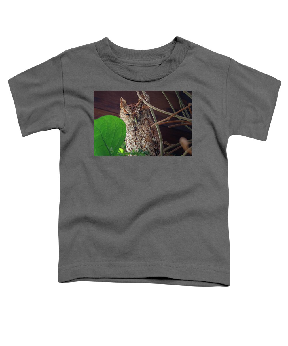Owl Toddler T-Shirt featuring the photograph Move on by Les Greenwood