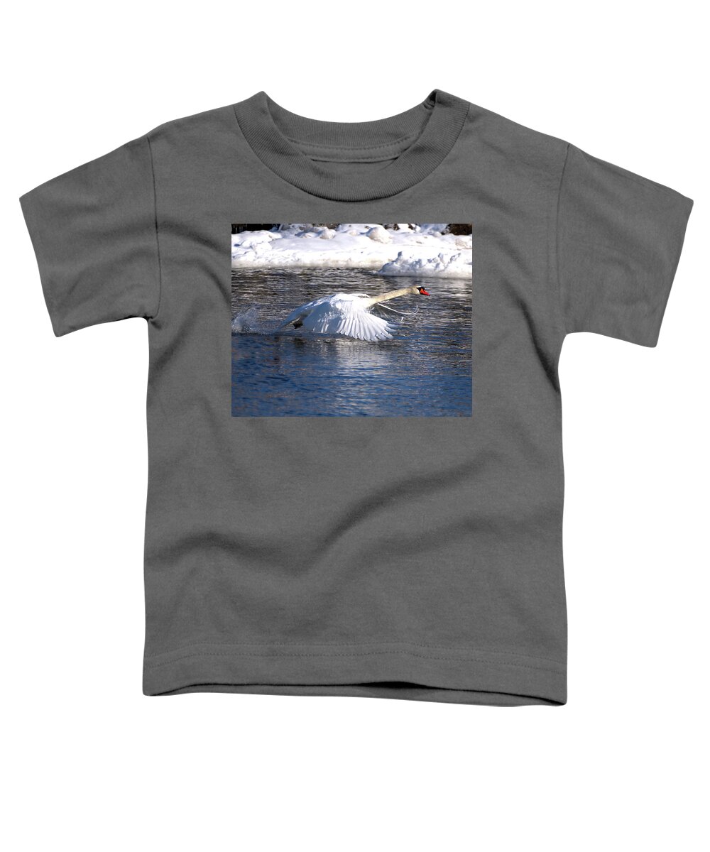 Mute Toddler T-Shirt featuring the photograph Mute Swan Wings Forward by Flinn Hackett