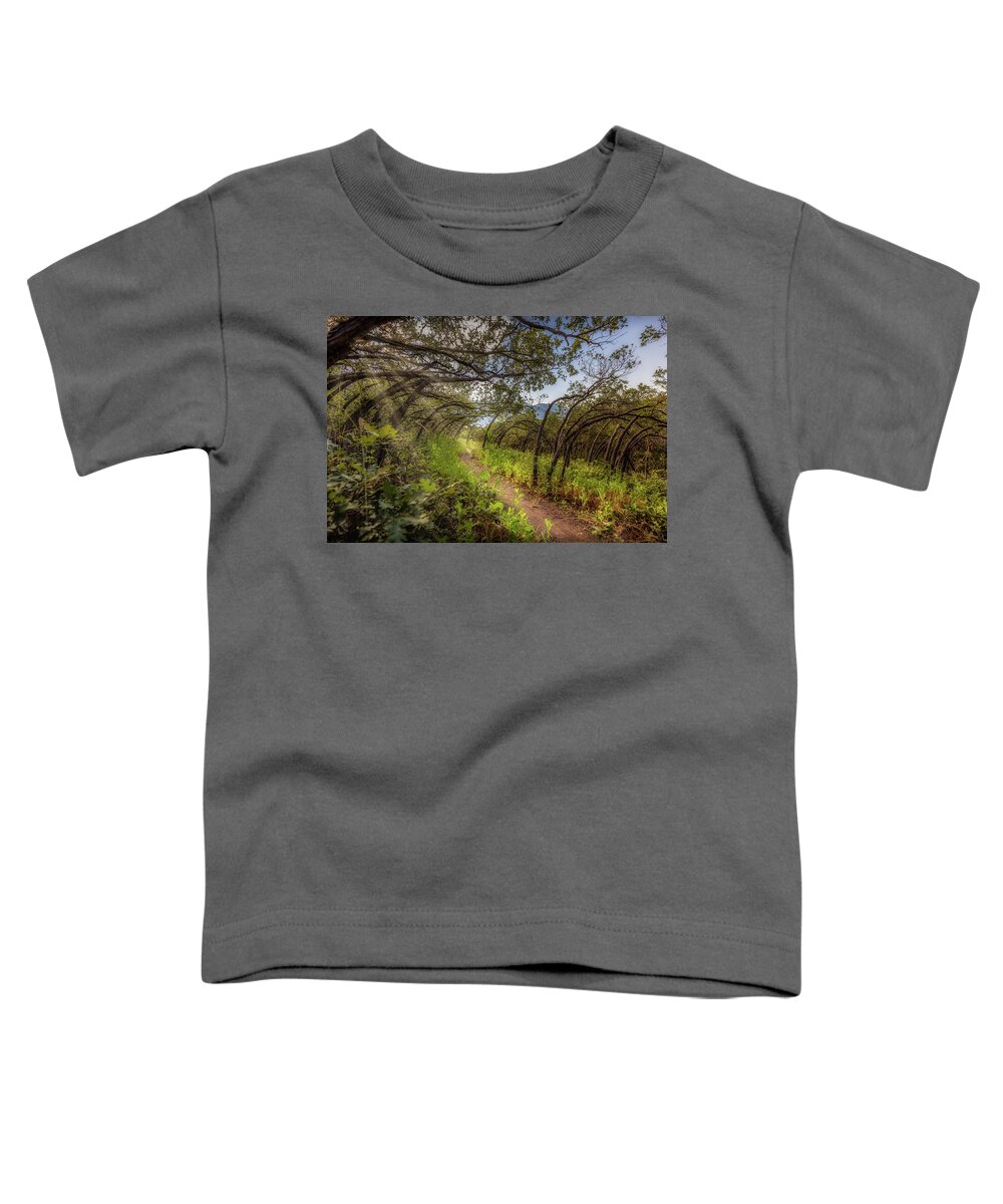 Woods Toddler T-Shirt featuring the photograph Mystical Worshipping Woods by Bradley Morris