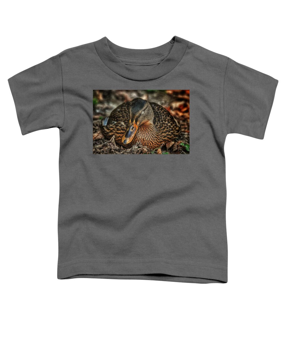 Photo Toddler T-Shirt featuring the photograph Nap time by Evan Foster