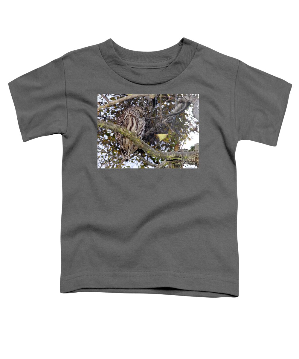 Owl Toddler T-Shirt featuring the photograph Napping Sage by Kimberly Furey