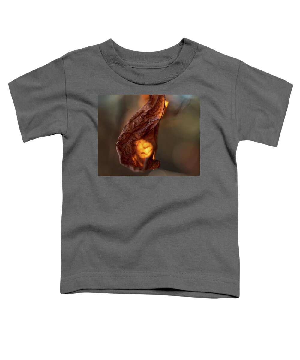 Landscape Toddler T-Shirt featuring the photograph Nature Photography - Leaves by Amelia Pearn