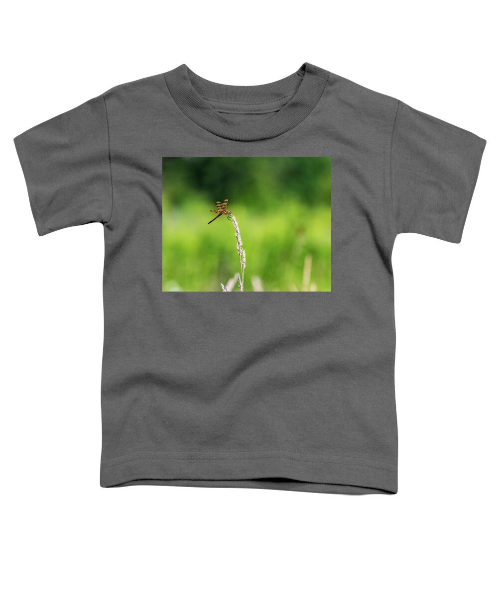 Animals Toddler T-Shirt featuring the photograph Nature Photography - Wild Dragonfly by Amelia Pearn